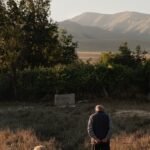 pexels-photo-17488888