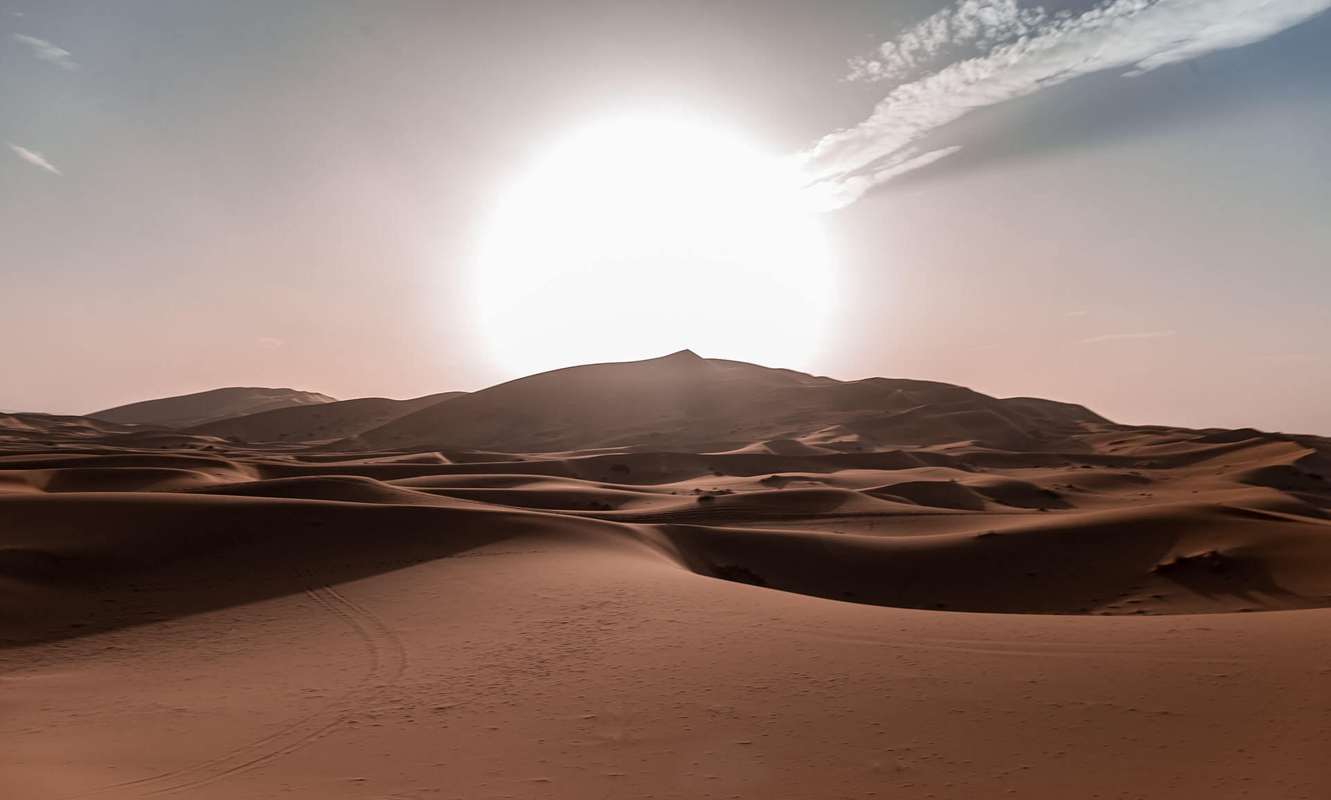 My Summer Travels to Dakhla